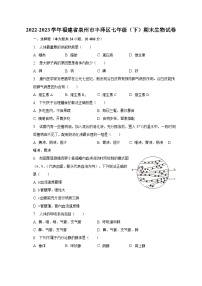 2022-2023学年福建省泉州市丰泽区七年级（下）期末生物试卷（含解析）
