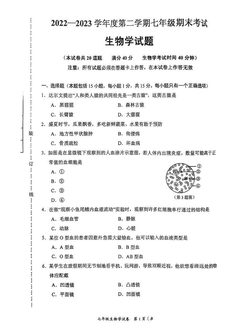 辽宁省大连市西岗区2022-2023学年七年级下学期期末生物试卷01