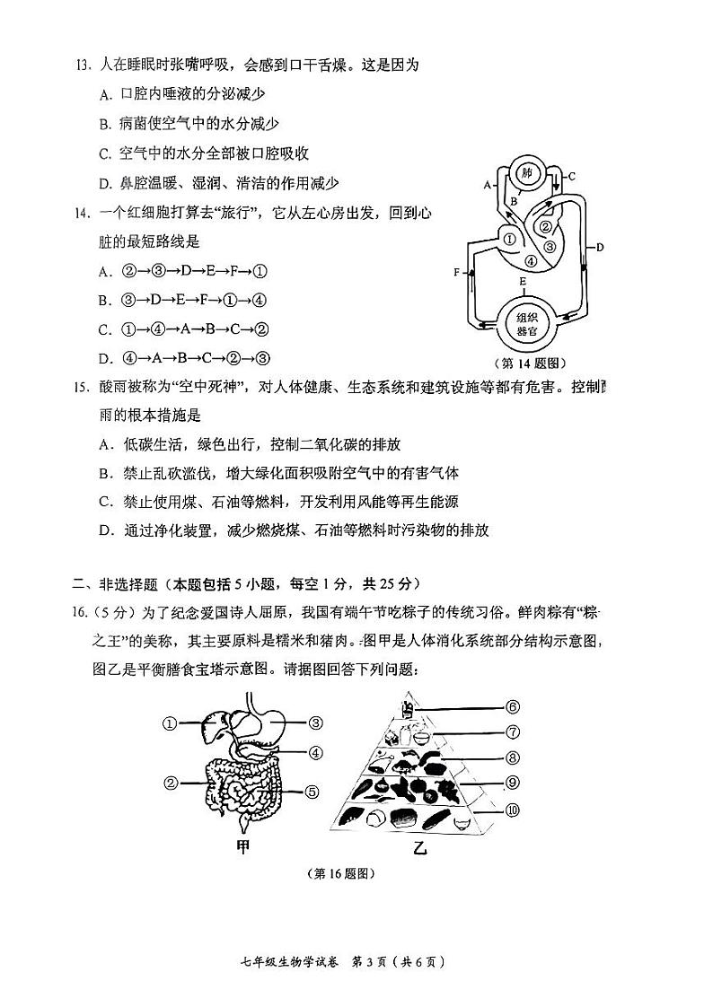 辽宁省大连市西岗区2022-2023学年七年级下学期期末生物试卷03