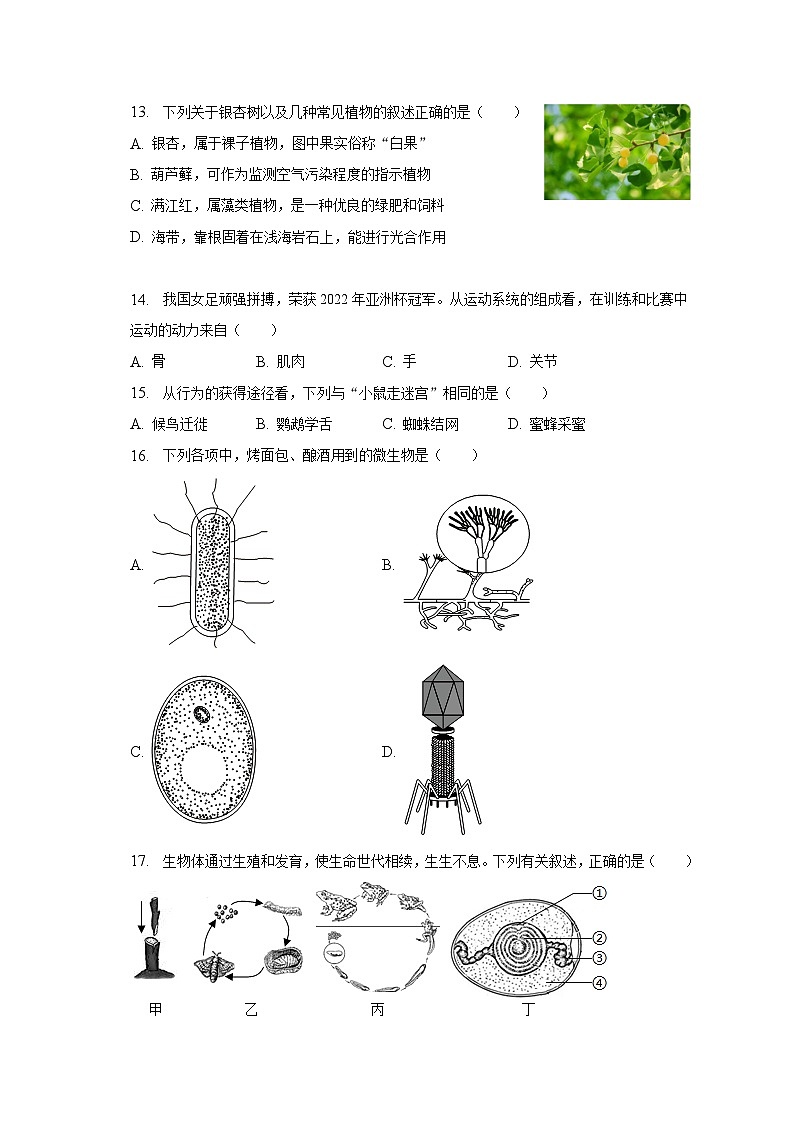 2023年江苏省盐城市亭湖区解放路学校中考生物模拟试卷(含解析)第3页