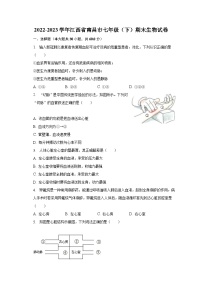 2022-2023学年江西省南昌市七年级（下）期末生物试卷（含解析）