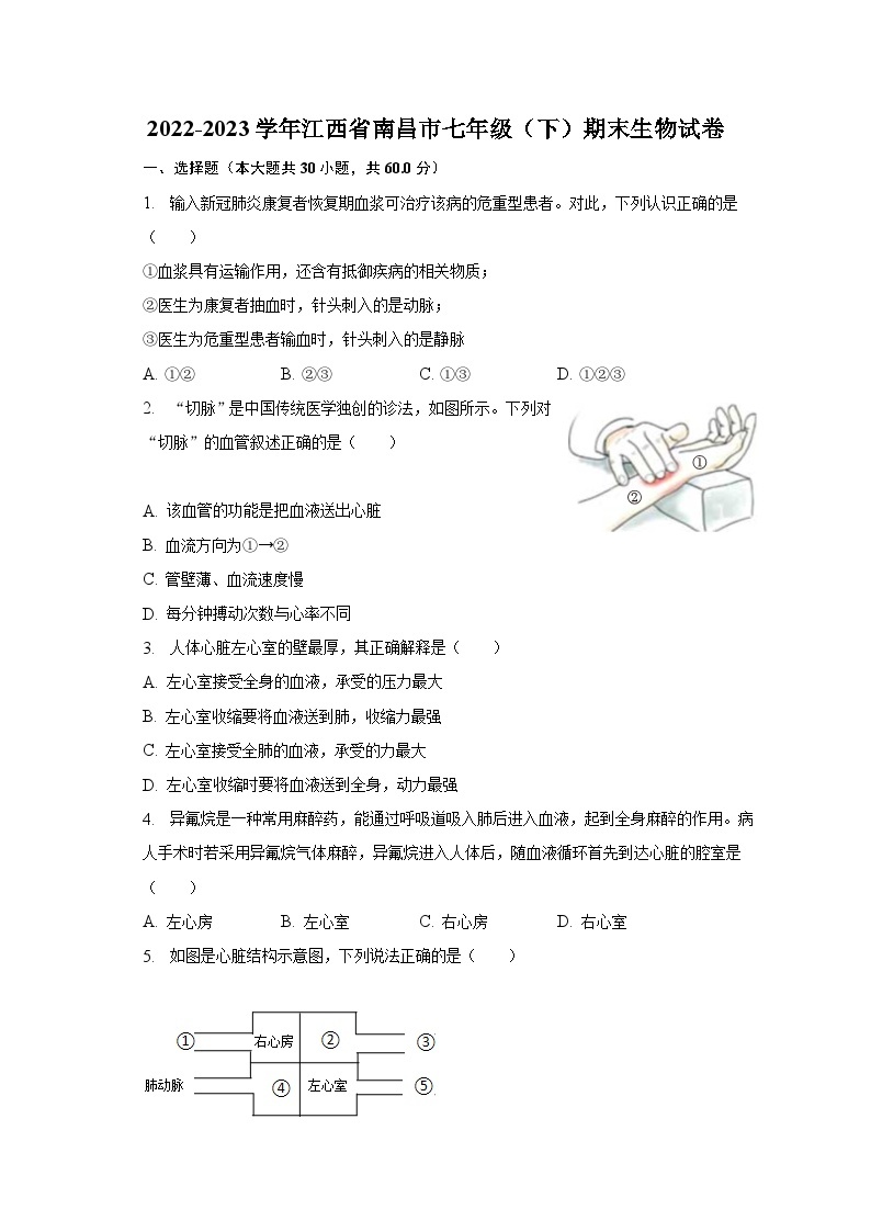 2022-2023学年江西省南昌市七年级（下）期末生物试卷（含解析）01