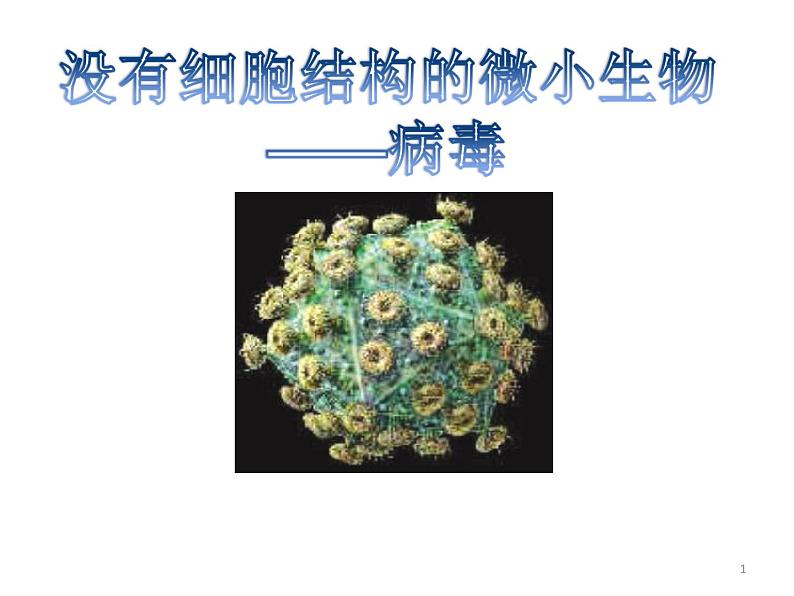 人教版生物八年级上册--5.5 病毒 课件第1页