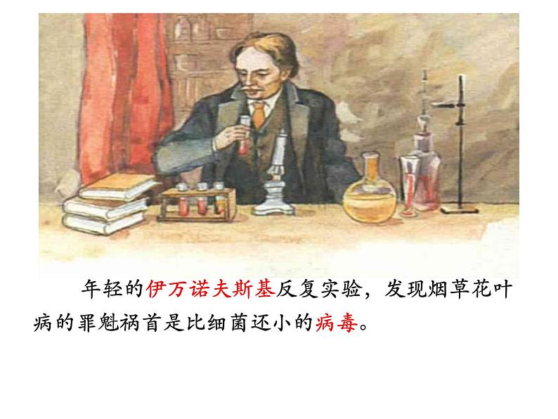 人教版生物八年级上册--5.5 病毒 课件第6页