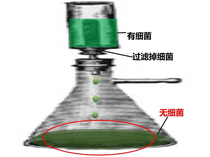 人教版生物八年级上册--5.5 病毒 课件第7页