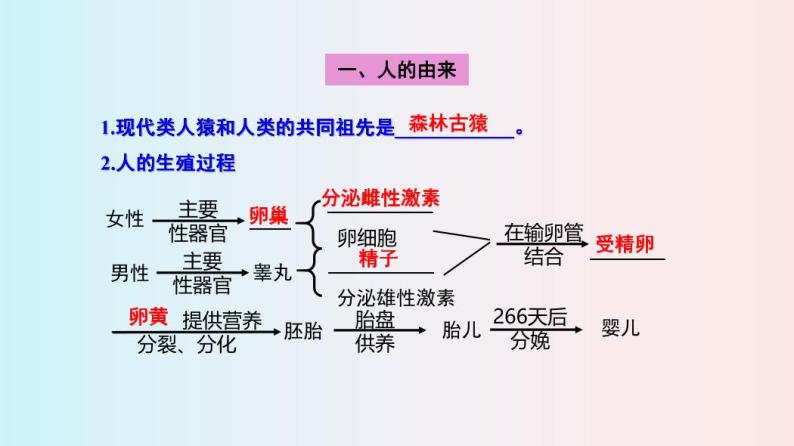 七年级（下册）生物 思维导图+重点知识梳理03