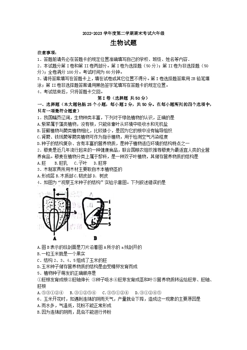 山东省济南市莱芜区（五四制）2022-2023学年六年级下学期期末考试生物试题（含答案）