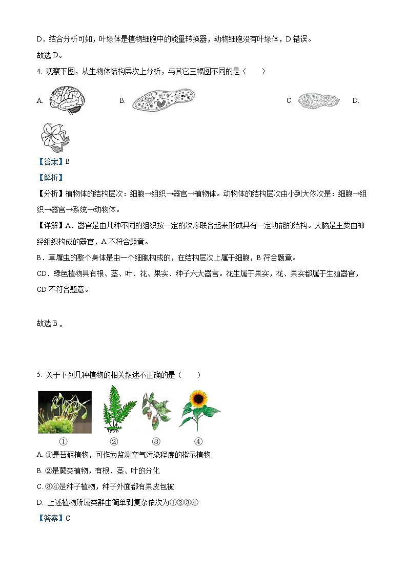 2023年湖北省十堰市生物中考真题(答案版)第3页
