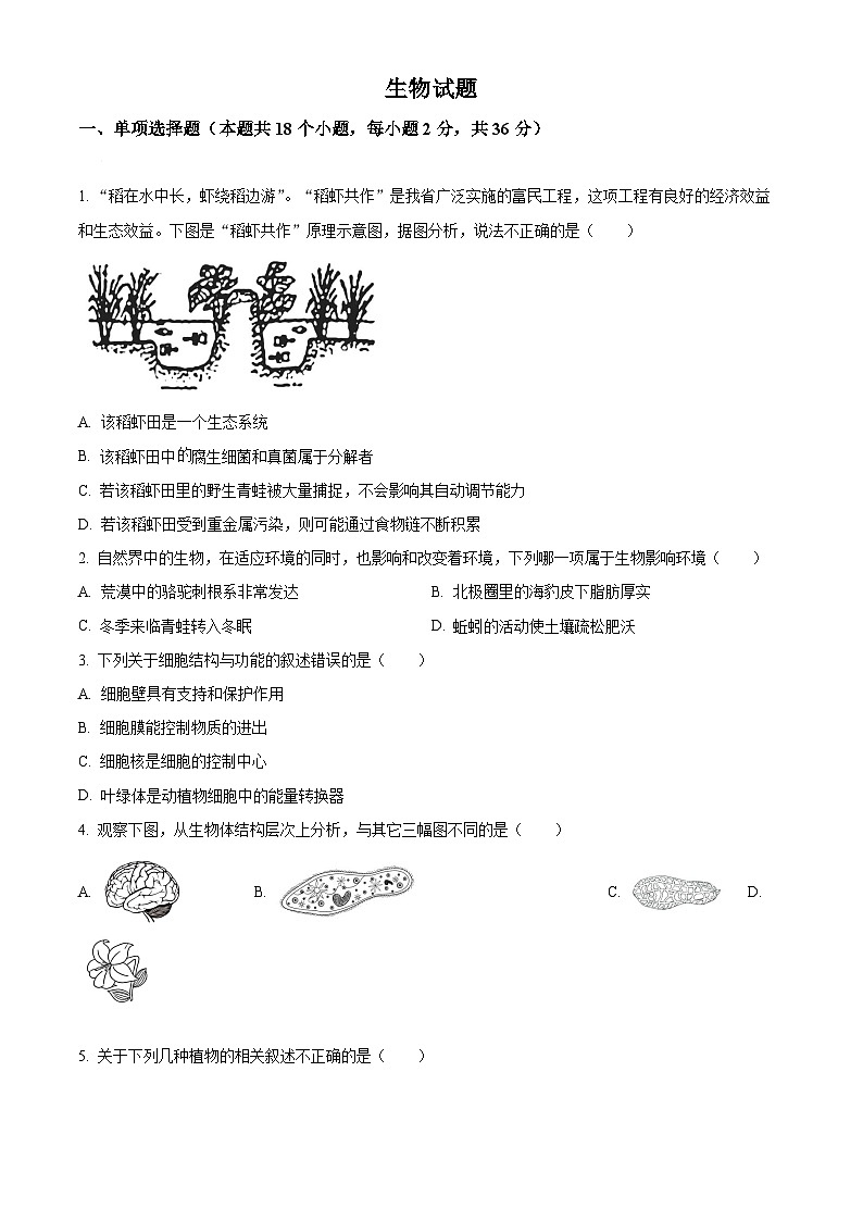 2023年湖北省十堰市生物中考真题(试卷版)第1页