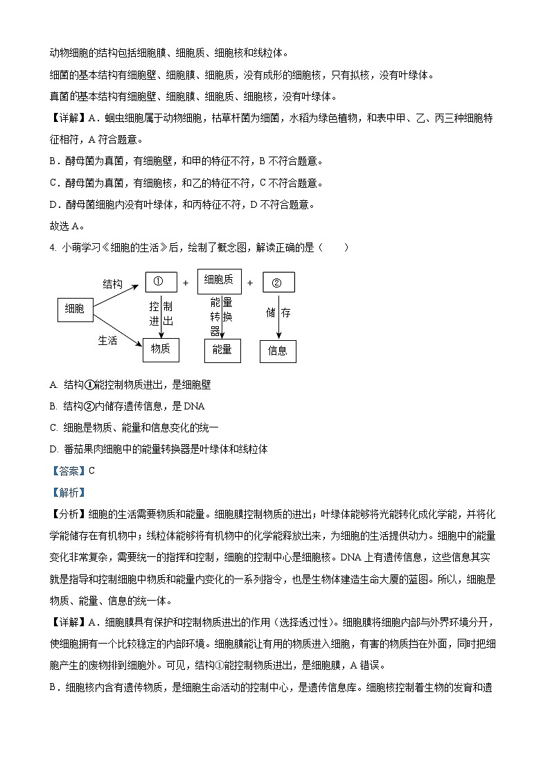 2023年湖北省宜昌市中考生物真题(答案版)第3页