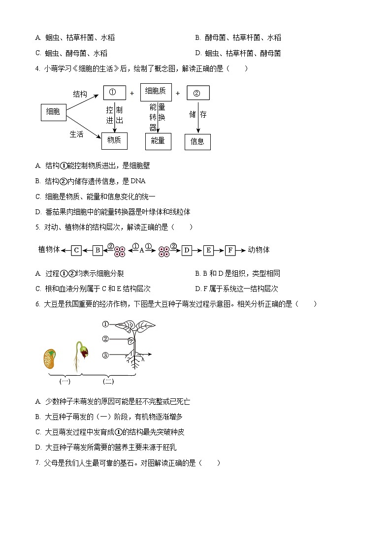 2023年湖北省宜昌市中考生物真题(试卷版)第2页