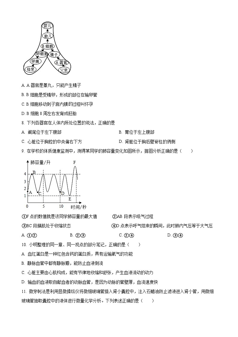 2023年湖北省宜昌市中考生物真题(试卷版)第3页