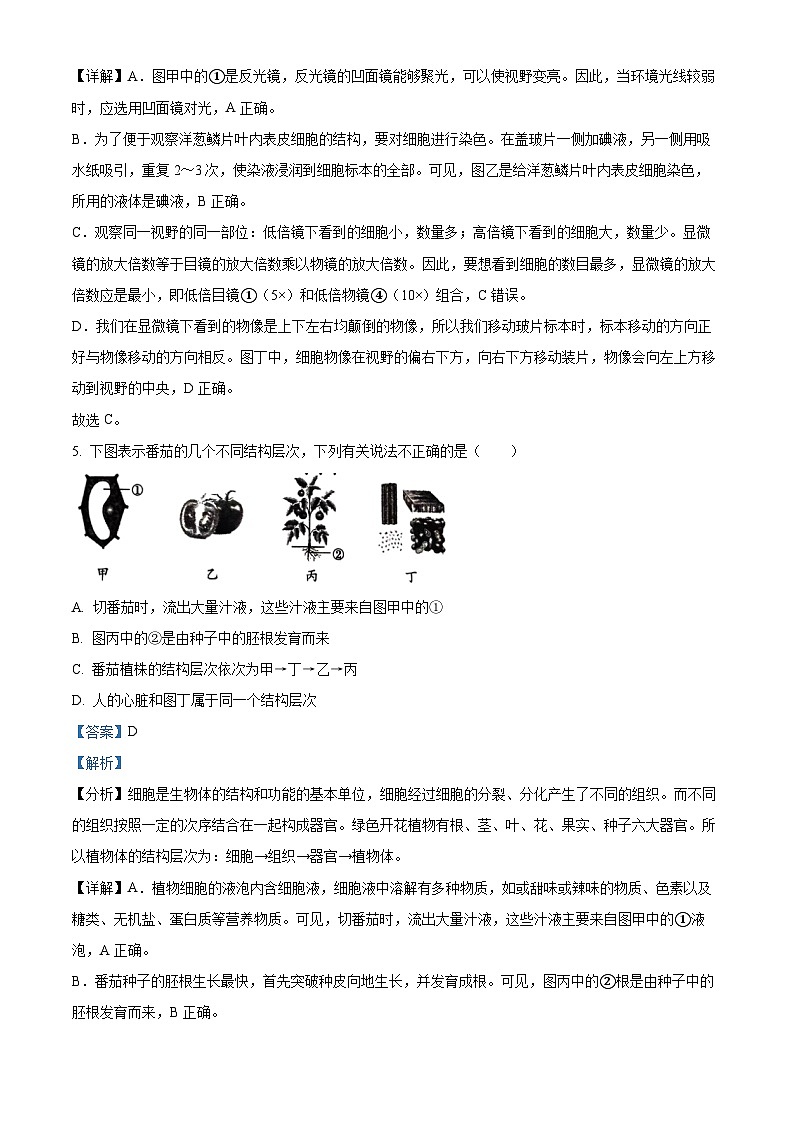 2023年湖南省衡阳中考生物真题(答案版)第3页