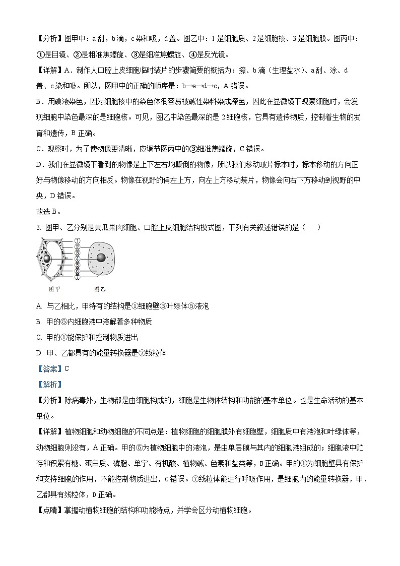 2023年山东省临沂市中考生物真题02