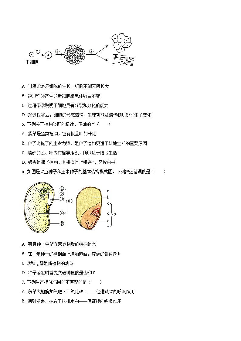 2023年山东省临沂市中考生物真题02