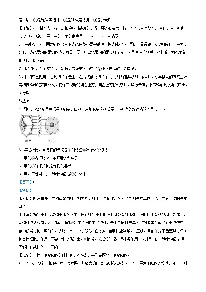 2023年山东省临沂市中考生物真题（含解析）02