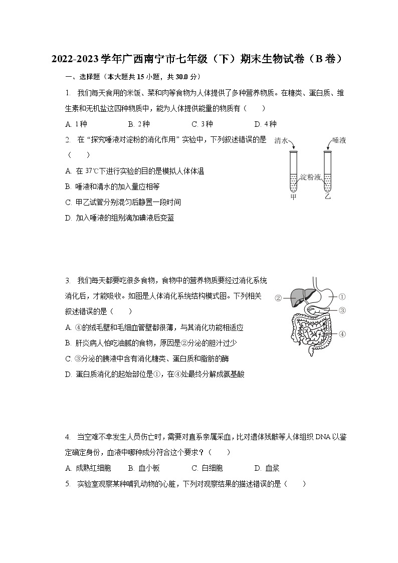 2022-2023学年广西南宁市七年级（下）期末生物试卷（B卷）（含解析）01