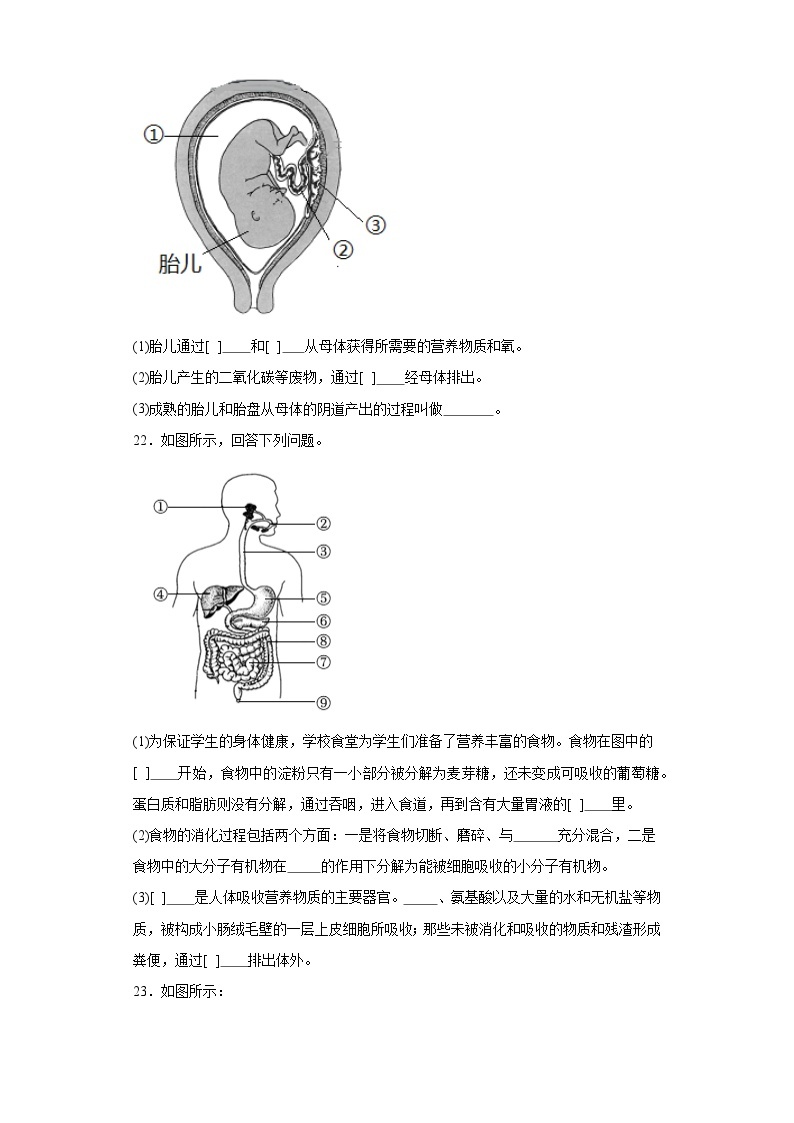 辽宁省盘锦市盘山县2022-2023学年七年级下学期期末生物试题（含答案）03