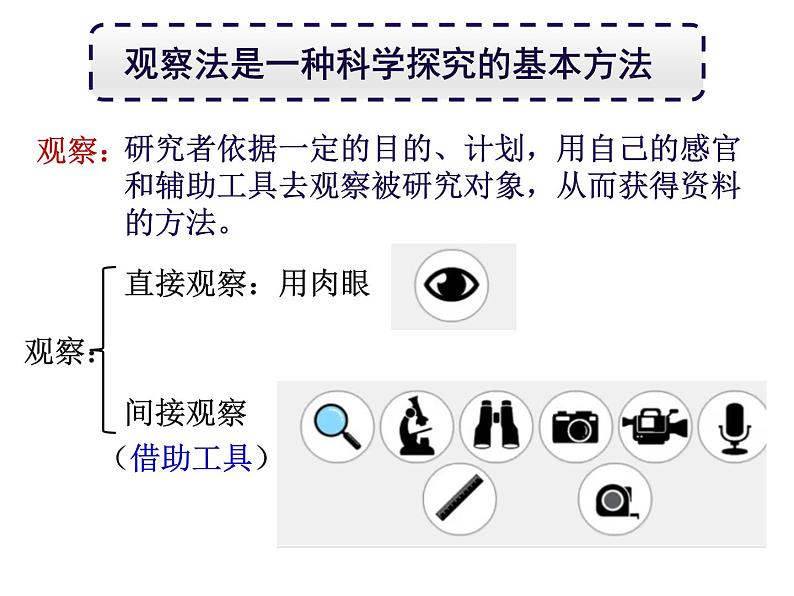 1.1.1生物的特征课件PPT第5页