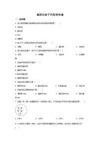 初中生物人教版 (新課標(biāo))八年級下冊第七單元 生物圈中生命的延續(xù)和發(fā)展第二章  生物的遺傳和變異第二節(jié)  基因在親子代間的傳遞優(yōu)秀精練