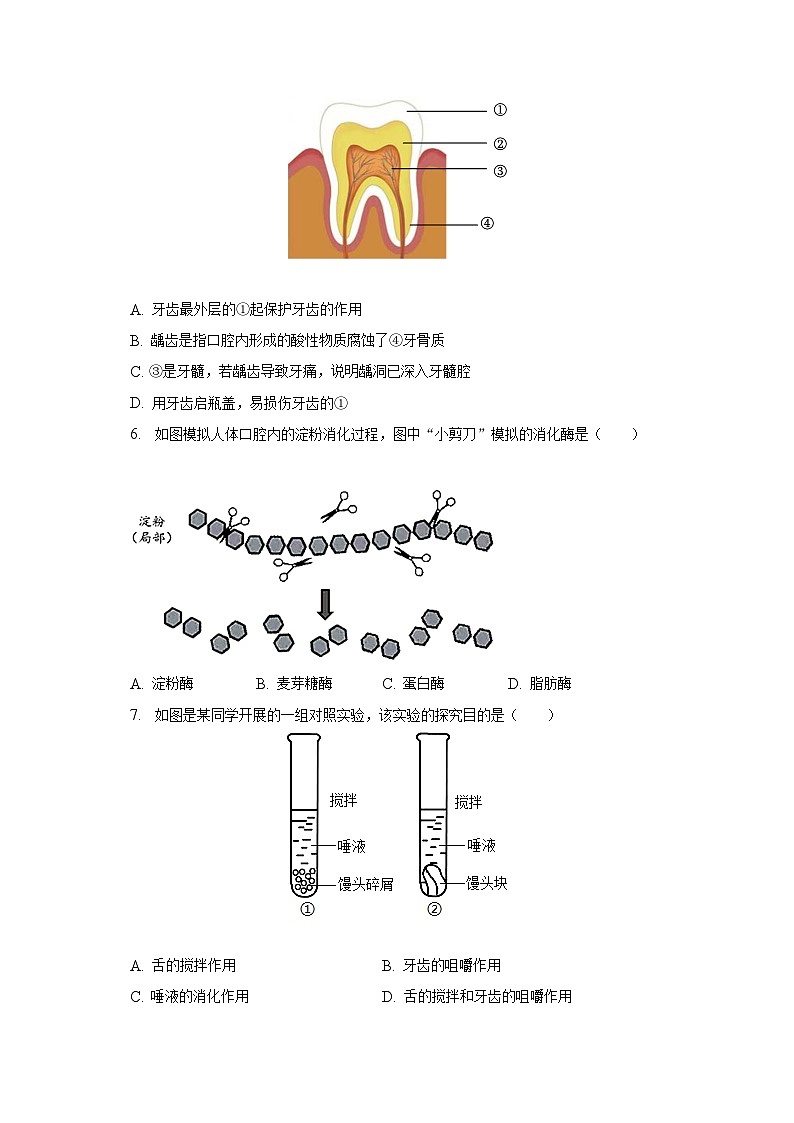 2022-2023学年河南省洛阳市嵩县七年级(下)期末生物试卷(含解析)第2页