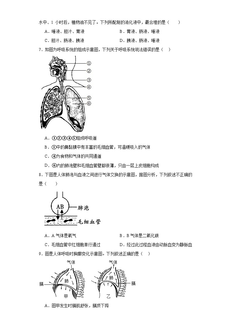河南省濮阳市濮阳县2022-2023学年七年级下学期期末生物试题(含答案)第2页