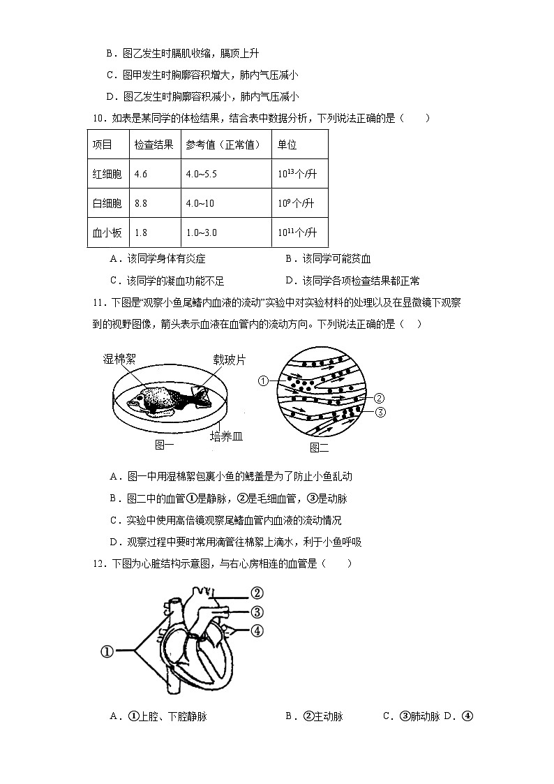 河南省濮阳市濮阳县2022-2023学年七年级下学期期末生物试题(含答案)第3页