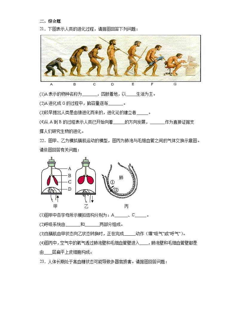 吉林省吉林市永吉县2022-2023学年七年级下学期期末生物试题(含答案)第3页