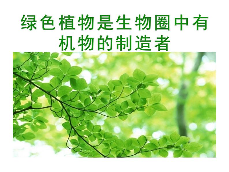 3.4.1绿色植物是生物圈中有机物的制造者 公开课课件01