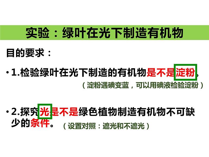 3.4.1绿色植物是生物圈中有机物的制造者 公开课课件03