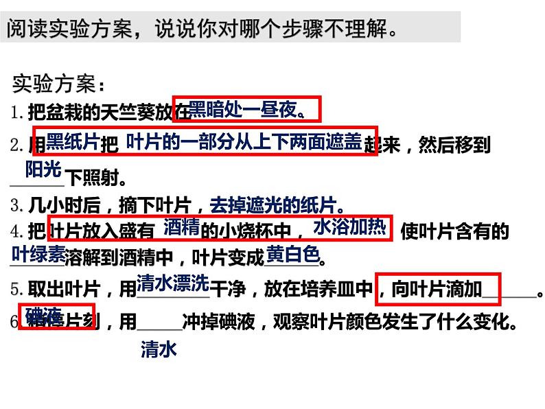 3.4.1绿色植物是生物圈中有机物的制造者 公开课课件04