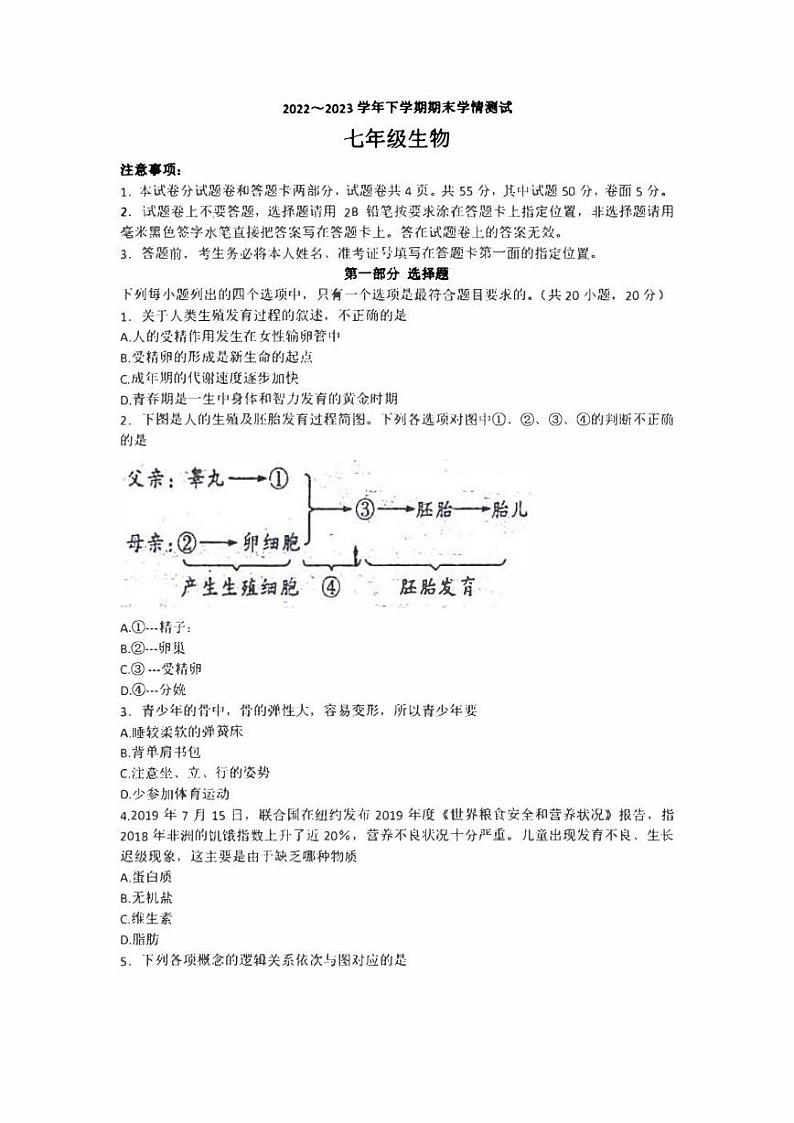 河南省平顶山市郏县2022-2023学年七年级下学期7月期末生物试题(含答案)01