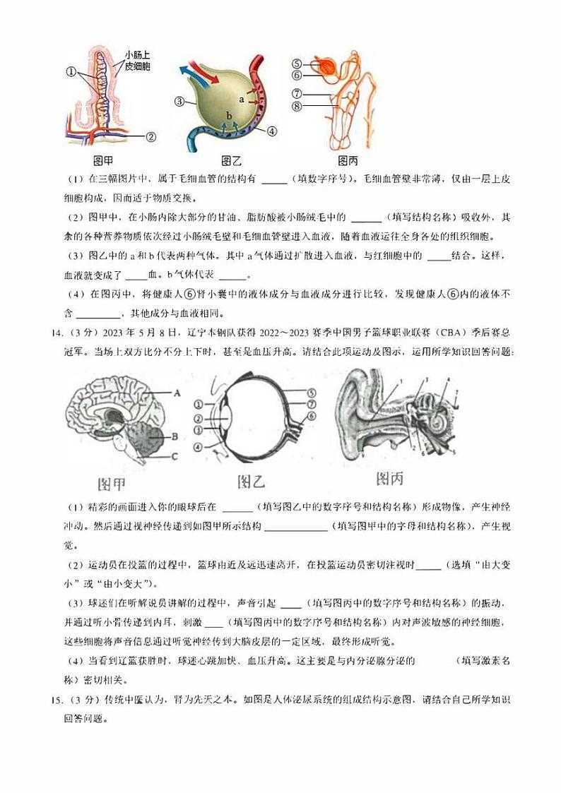 辽宁省沈阳市铁西区2022-2023学年七年级下学期期末生物试卷(含答案)03
