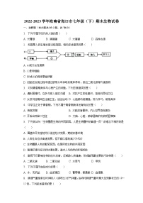 2022-2023学年海南省海口市七年级（下）期末生物试卷（含解析）