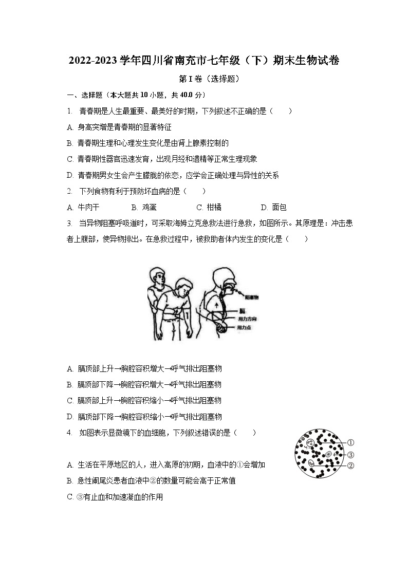 2022-2023学年四川省南充市七年级（下）期末生物试卷（含解析）01