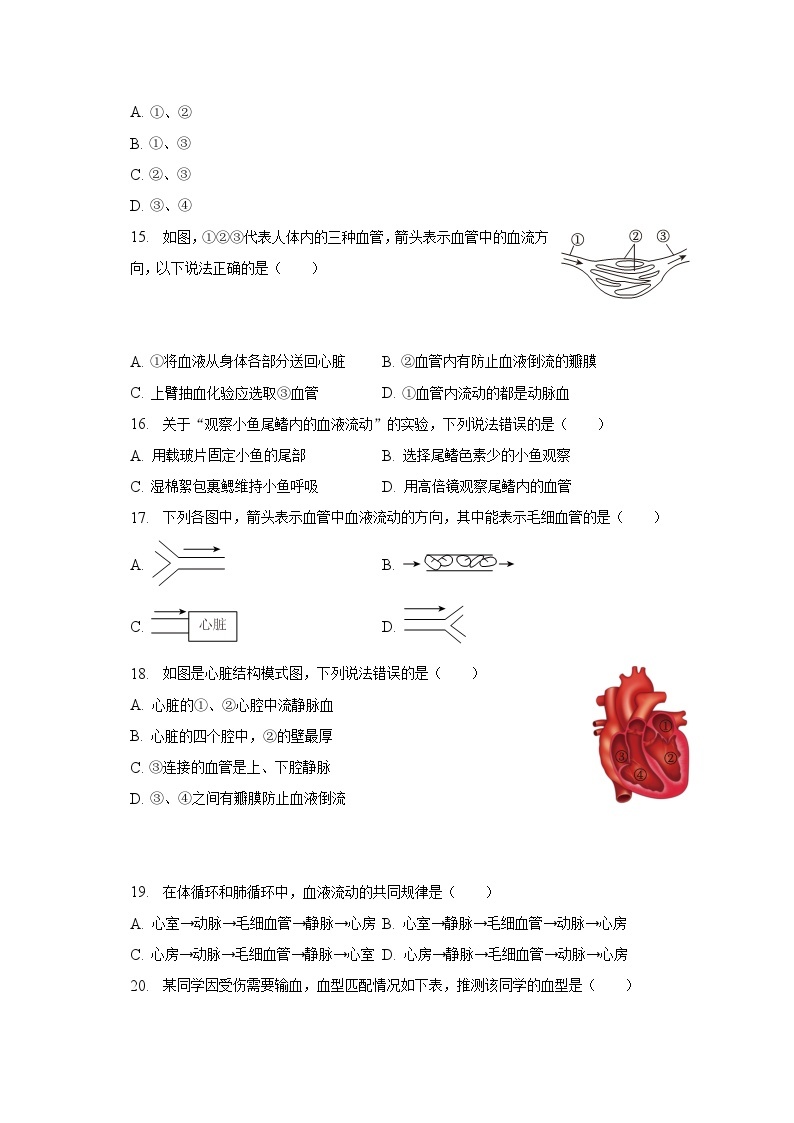 2022-2023学年广东省东莞市七年级（下）期末生物试卷（含解析）03
