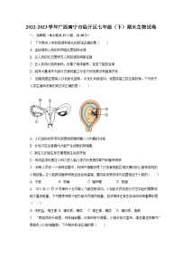 广西南宁市经开区2022-2023学年七年级下学期期末生物试卷（含答案）