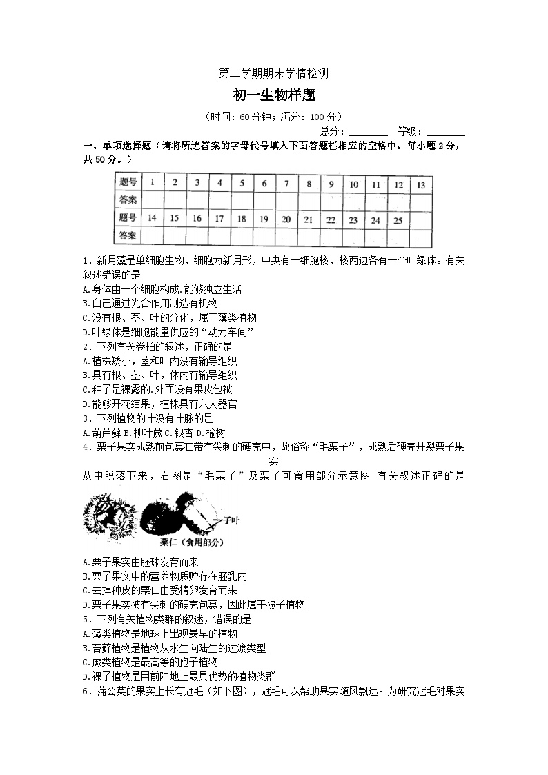 山东省泰安市泰山区2022-2023学年六年级下学期期末考试生物试题（含答案）