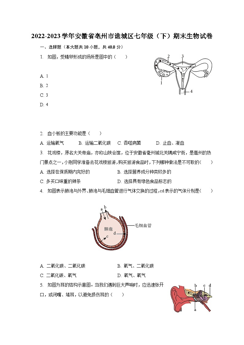 2022-2023学年安徽省亳州市谯城区七年级(下)期末生物试卷(含解析)第1页