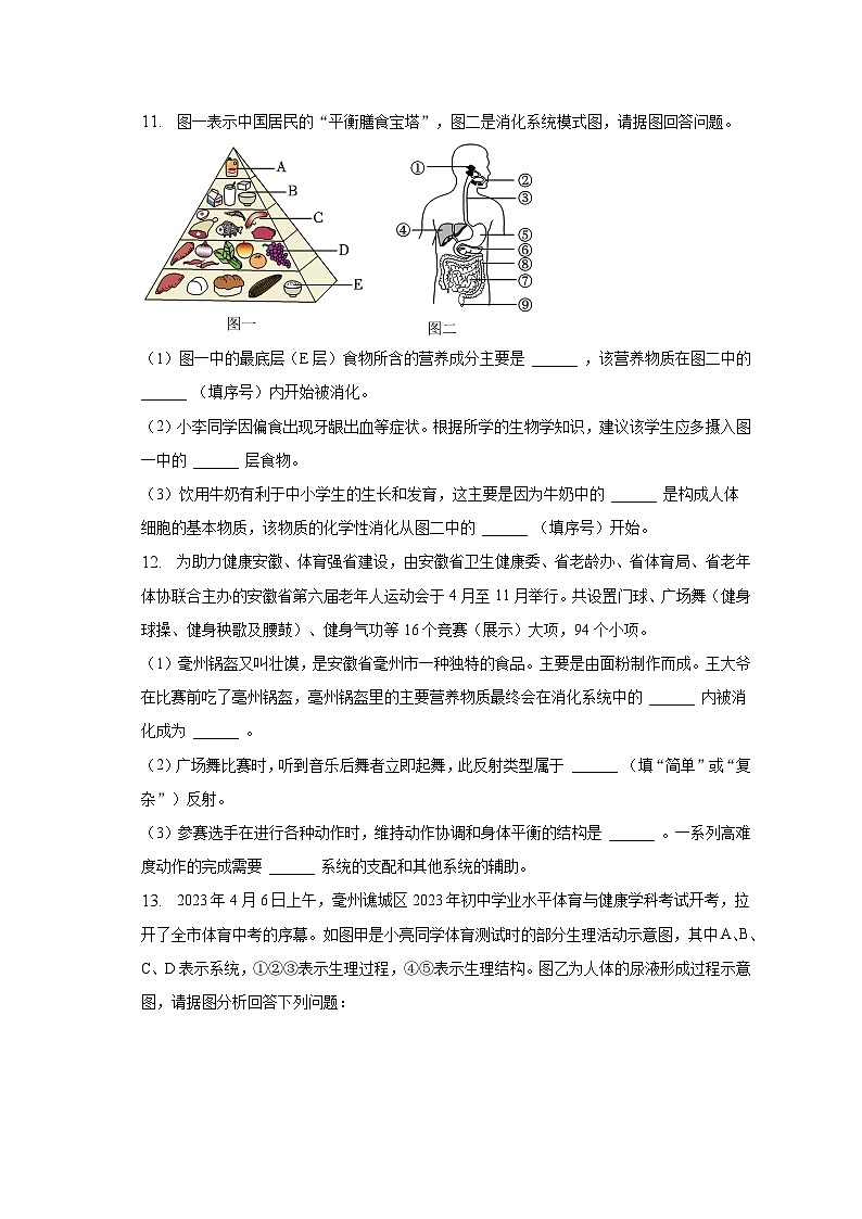 2022-2023学年安徽省亳州市谯城区七年级(下)期末生物试卷(含解析)第3页
