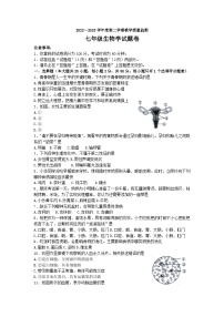 安徽省滁州市2022-2023学年七年级下学期6月期末生物试题（含答案）