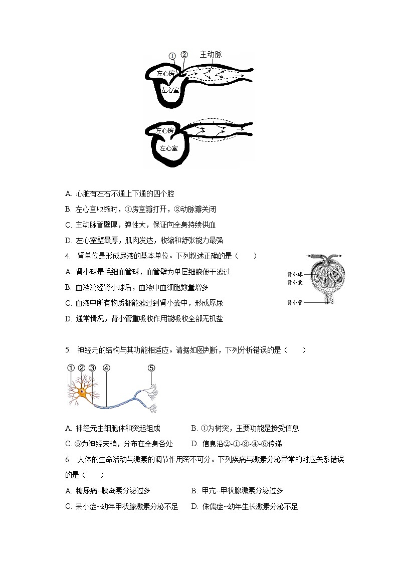安徽省宿州市砀山县2022-2023学年七年级下学期期末生物试卷(含答案)02