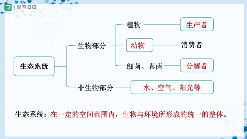 【人教版】七上生物   1.2.3 生物圈是最大的生态系统（课件+教案+导学案+练习）02