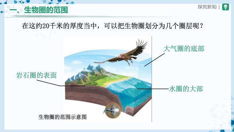 【人教版】七上生物   1.2.3 生物圈是最大的生态系统（课件+教案+导学案+练习）07