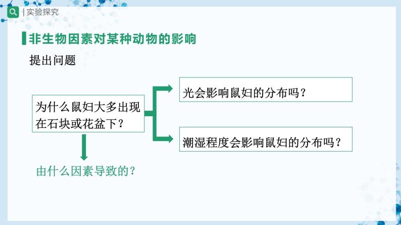 【人教版】七上生物   1.2.1 生物与环境的关系（第2课时）（课件+教案+导学案+练习）05