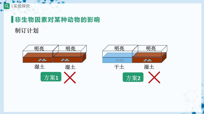 【人教版】七上生物   1.2.1 生物与环境的关系（第2课时）（课件+教案+导学案+练习）08