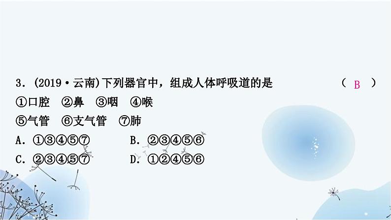 人教版中考生物复习主题四生物圈中的人第三节人体生命活动的能量供给练习课件第5页