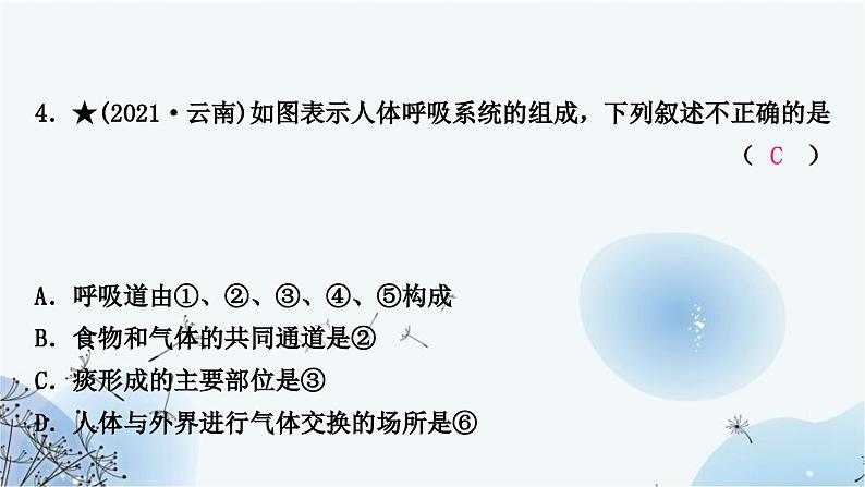 人教版中考生物复习主题四生物圈中的人第三节人体生命活动的能量供给练习课件第6页