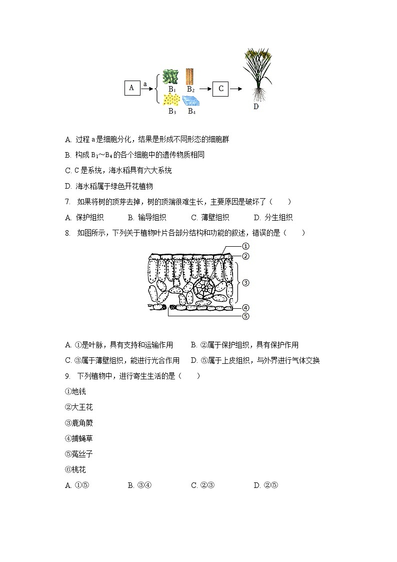 2022-2023学年江苏省扬州市仪征市七年级(下)期末生物试卷(含解析)02