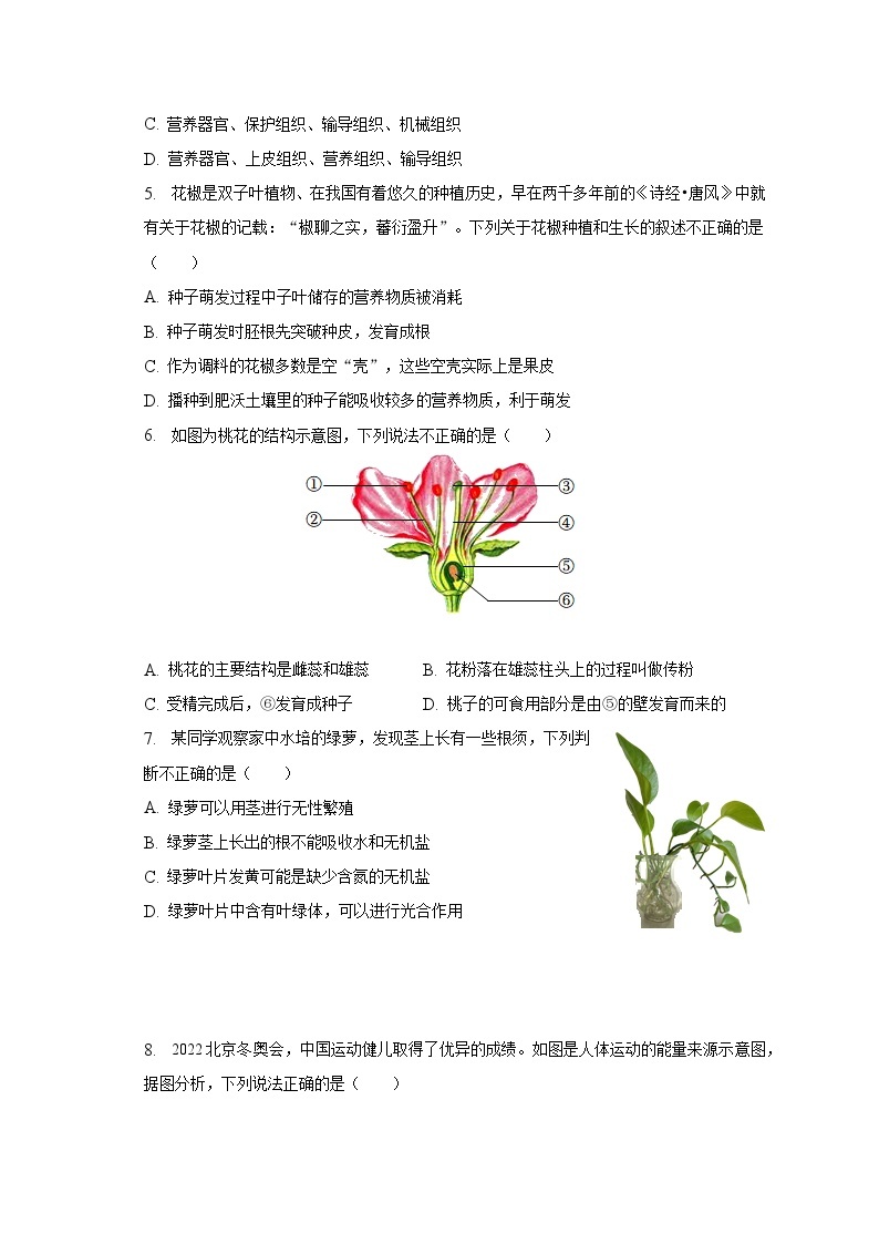 2023年河南省平顶山市鲁山县中考生物一模试卷（含解析）02